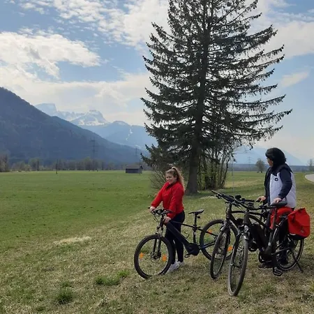 Wulfenia * ヘルマゴル